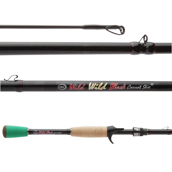 best fishing rods reviews