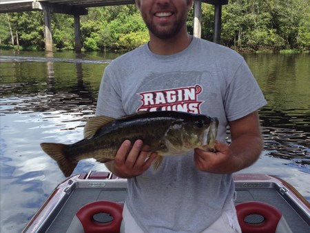 How to Catch More Largemouth Bass 1282 catching some basin pigs on my carrot stix. 1