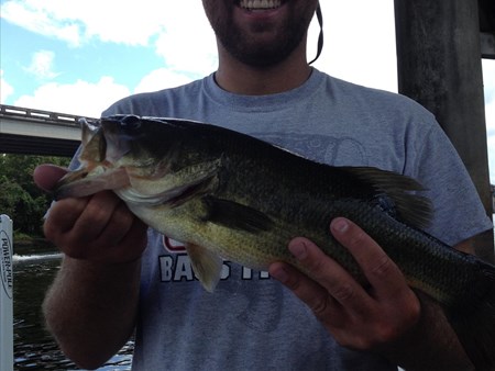 How to Catch More Largemouth Bass 1282 catching some basin pigs on my carrot stix. 2