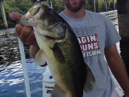 How to Catch More Largemouth Bass 1282 catching some basin pigs on my carrot stix. 3