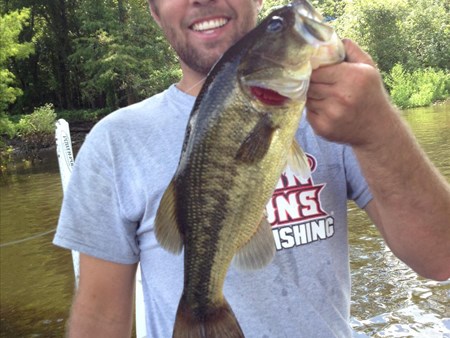 How to Catch More Largemouth Bass 1282 catching some basin pigs on my carrot stix. 4