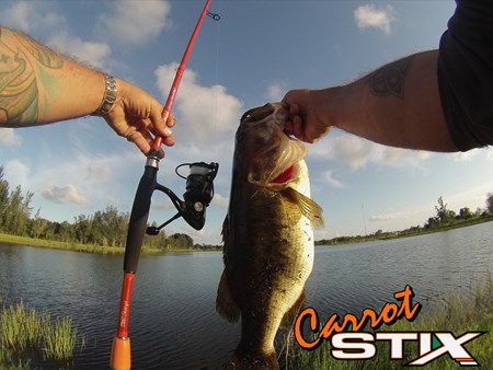 Monster bass with Carrot Stix rods! Simply the best fishing rod, period. 3966 monster bass with carrot stix rods simply the best fishing 2