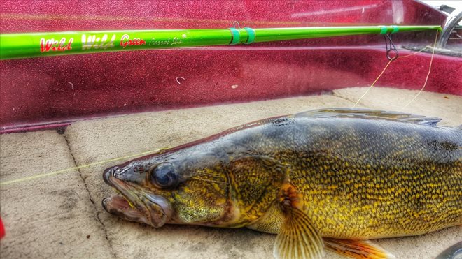 Wild Green is a Jigging Manand39s Dream (Best Freshwater Rod)