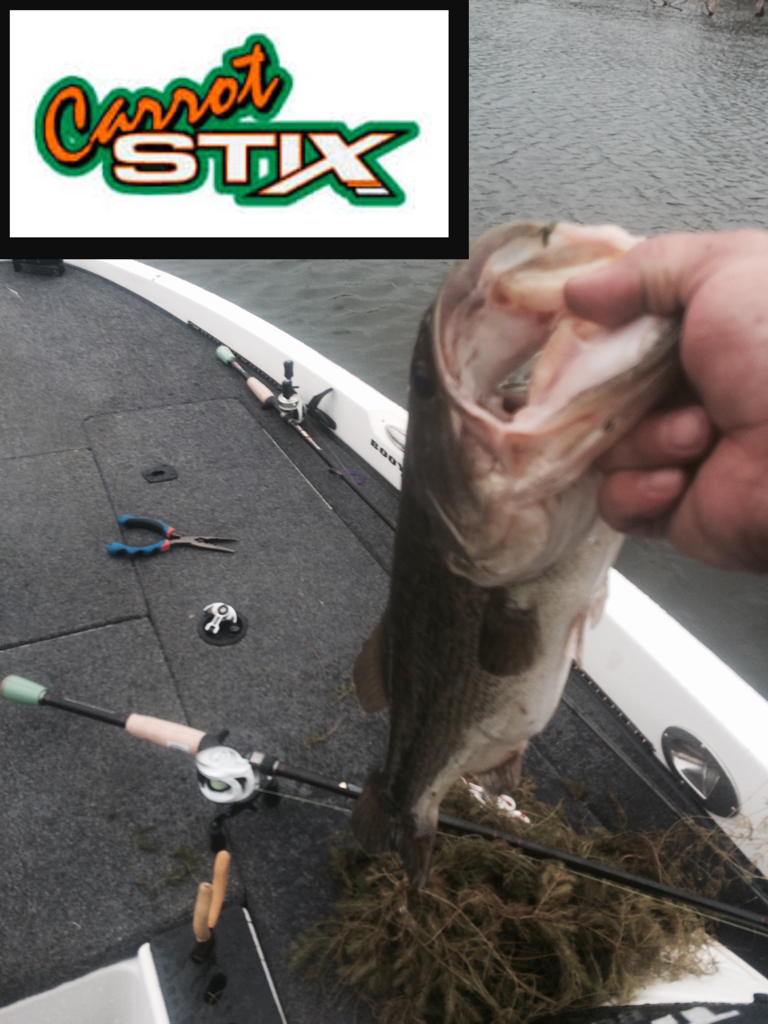 Carrot Stix are the best fishing rods!
