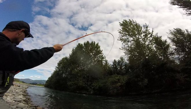 fishing the vedder river b.c canada with the carrotstix 10.0