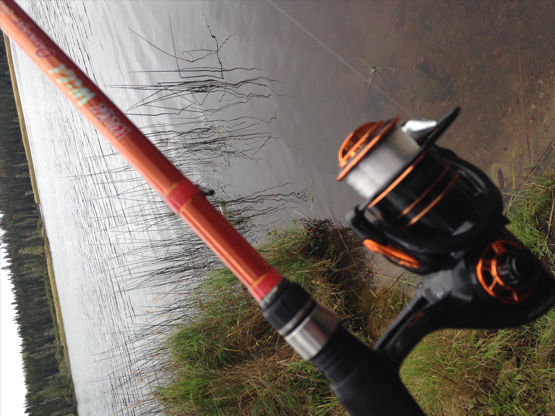 Carrot Stix CASTING 6'9" Medium Heavy WILD ORANGE Bass Fishing Rod C2WX691MH-F-C 