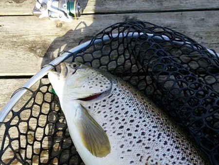 Late Winter Trout Fishing 6475 late winter trout fishing 002