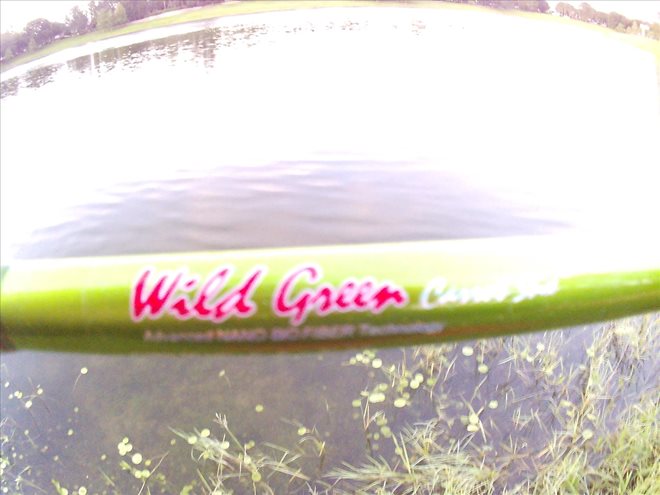 The WILD WILD Green Is best Saltwater And Freshwater Rod on the market